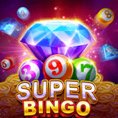 Super Bingo on Big Win APK
